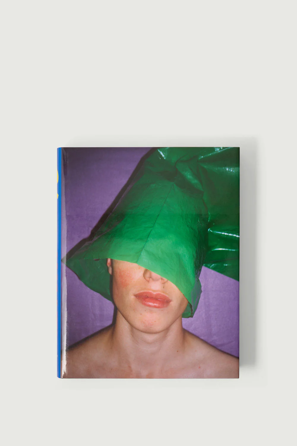 BOOK 'CHEZ WALTI'
